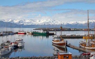 Working Holiday Islandia para chilenos: Cómo conseguir la visa